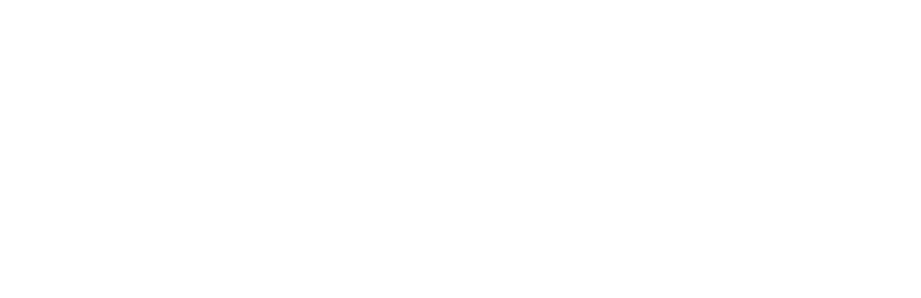 ZBRA_BIG.D-33801285